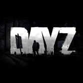 DayZ Standalone  Цифровая версия  - фото
